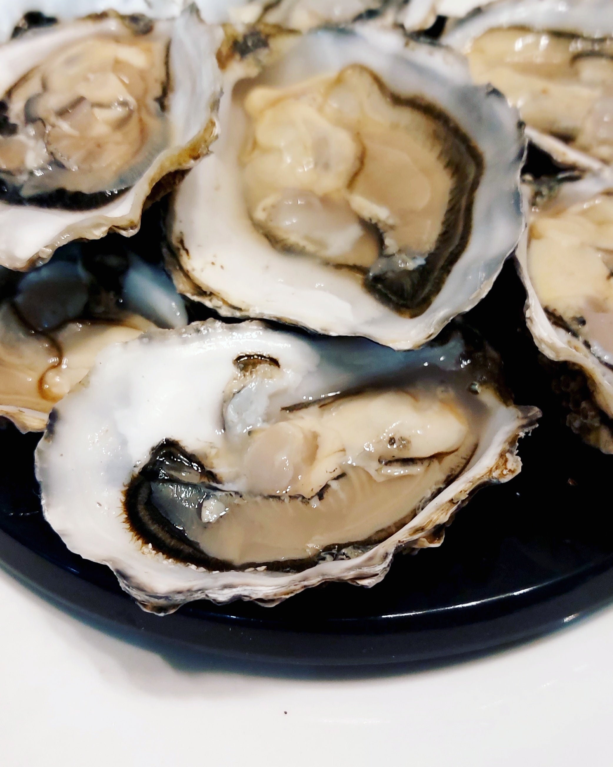 Marennes Oleron Fine de Claire - Oysters – The Luxury Seafood